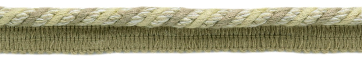 #Color_Fossil Ivory Multicolor (Color# W01)