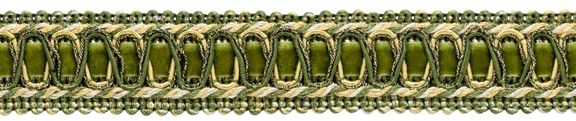 #Color_Olive Garden Green Multicolor (Color# 010)