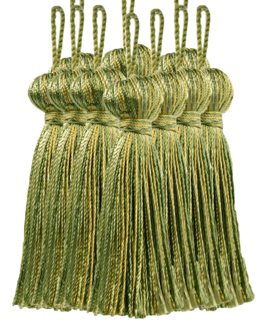 #Color_Lemongrass Green Multicolor (Color# PR12)